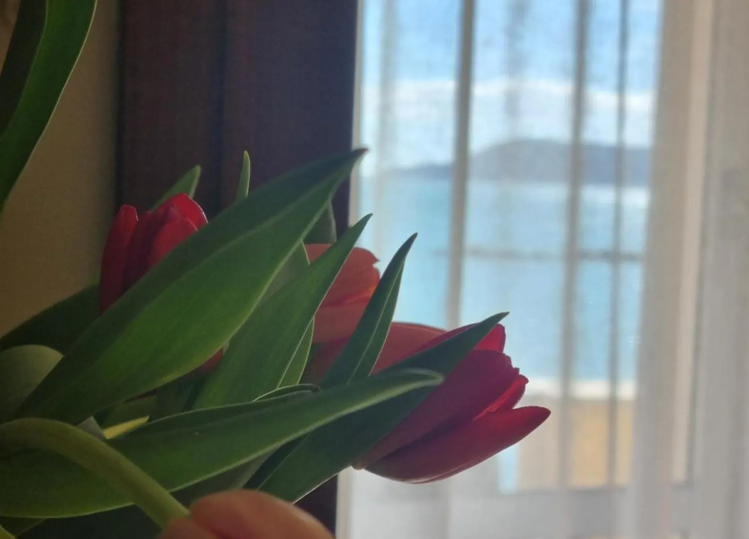 Hotel Florida Lerici